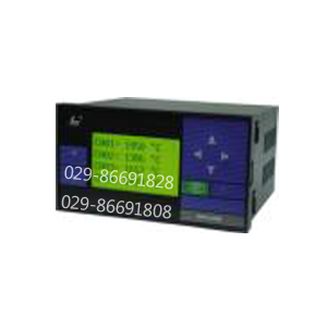 ȻSWP-LCD-LT802-02-AAG-2P۲